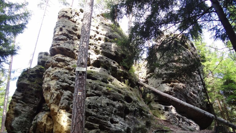 Mastale_Nature Preserve