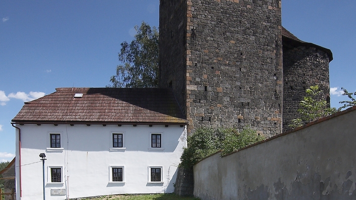 Tynec nad Sazavou Castle